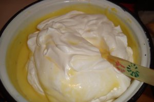 Tort Ecler
