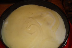 Tort Ecler