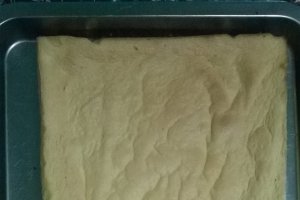 Prajitura cu cocos si ciocolata