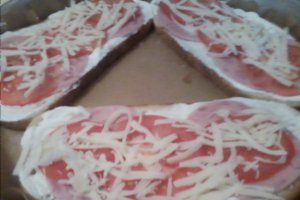 Sandwich la cuptor