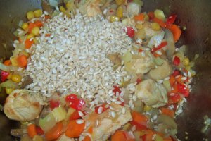 Orez brun cu legume si piept de pui