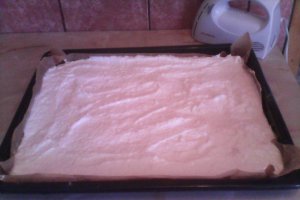 Prajitura cu cocos si crema de vanilie , tanti Stela