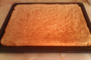 Prajitura cu cocos si crema de vanilie , tanti Stela