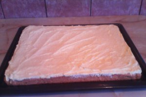 Prajitura cu cocos si crema de vanilie , tanti Stela