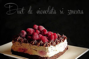 Duet de ciocolata si zmeura cu crema de iaurt