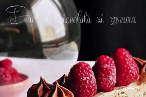 Duet de ciocolata si zmeura cu crema de iaurt