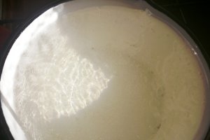 Prajitura cu frisca si piscoturi