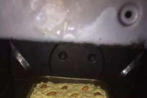 Basbousa