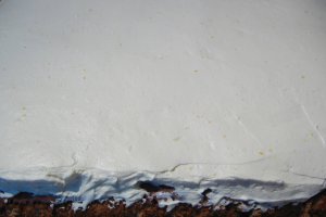 Desert prajitura Deliciu