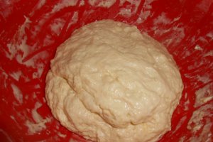 Pizza cu ceapa verde si altele