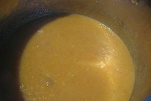 Pulpite de pui cu galuste bavareze si sos vanatoresc