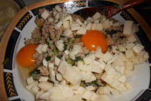 Placinta cu carne si mozzarella