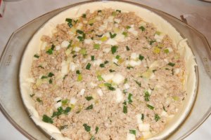 Placinta cu carne si mozzarella
