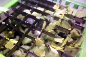 Salată de fusilli cu cremwursti