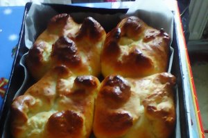 Placinte cu branza de vaci