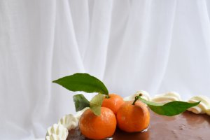 Tort cu jeleu si crema de clementine