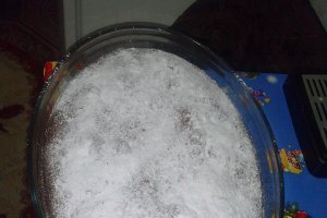 Negresa