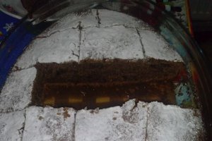 Negresa