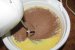 Tort de branza cu ciocolata si cappuccino-1