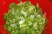 Salata verde cu ceapa si castravete-1