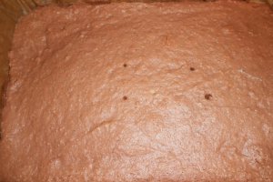 Prajitura Snickers