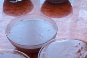 Budinca clasica de ciocolata