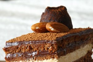 Tort "Opera"