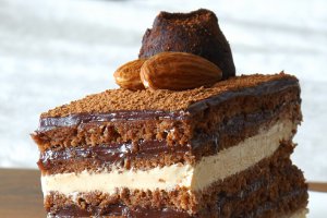 Tort "Opera"