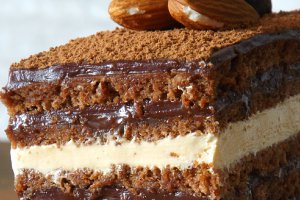 Tort "Opera"