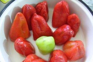 Ardei umpluti cu carne de curcan