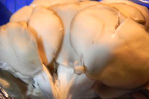 Mancare de post - Pilaf cu ciuperci pleurotus