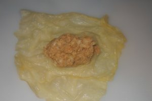 Sarmale de post cu soia