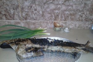 Stiuca la gratar in foaie de copt