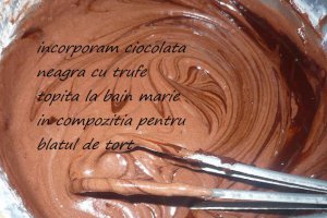 Tort Ceas