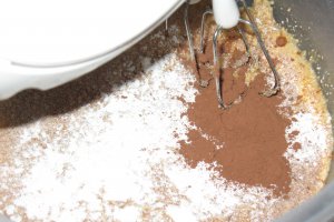 Tort de ciocolata cu fructe de padure Dukan