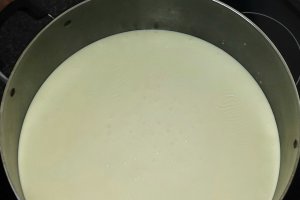 Branza de vaca din lapte dulce