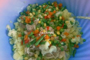 Budinca de legume si pui