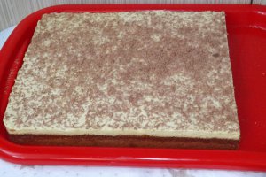 Prajitura cu mere, biscuiti digestivi si crema de vanilie
