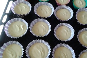Mini cheesecake
