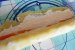 Ruladă de cașcaval în crustă de mac-5