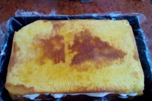 Tort Arlequin
