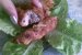 Rulouri din pulpa de porc umplute cu cascaval si ceapa verde-4