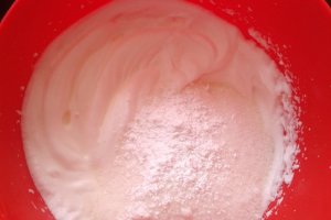 Prajitura cu nuca de cocos si ciocolata