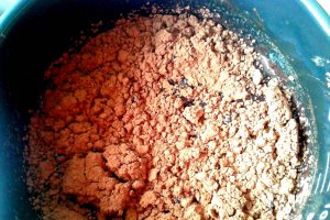 Prajitura cu nuca de cocos si ciocolata