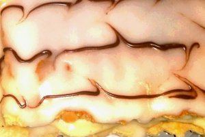 Cremsnit frantuzesc Mille-feuille