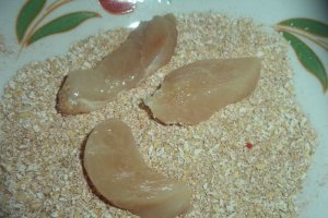 Nuggets Dukan