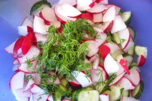 Salata de vara