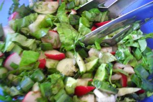 Salata de vara