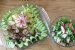 Inimioare  si pipotele  cu cartofi natur si salata de vara-4