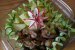 Inimioare  si pipotele  cu cartofi natur si salata de vara-5